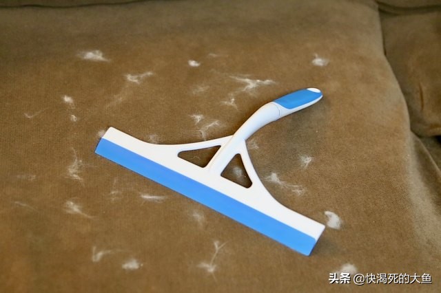 清除宠物毛发,去除屋内宠物毛发