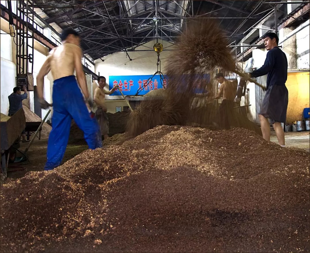 凤城老窖小酒,凤城老窖与宁城老窖