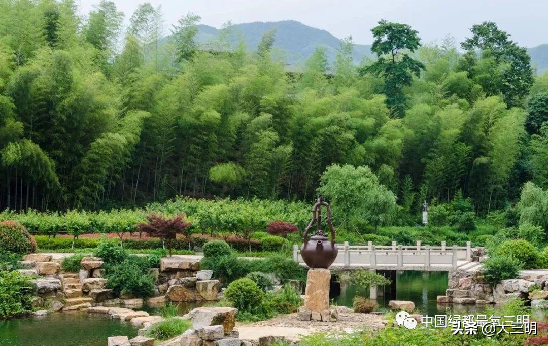 中国绿都最氧三明春回大地,大武夷旅游绿都三明