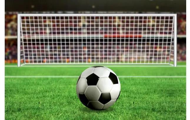 南京市足球后备人才示范学校,福建省足球示范校