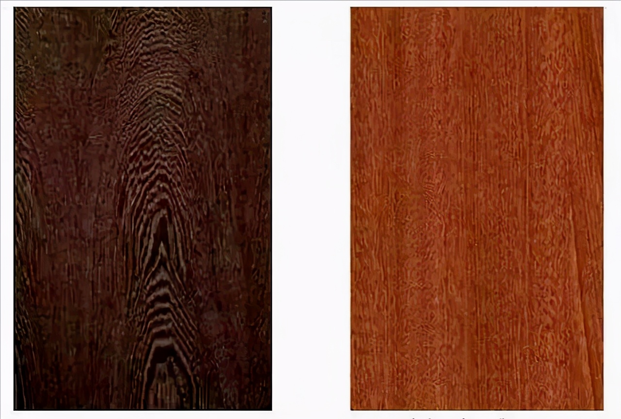 木知识,木知识大全图解