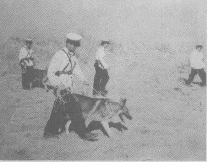 彭加木离奇失踪最有可能的原因,彭加木失踪之谜最终40分钟视频