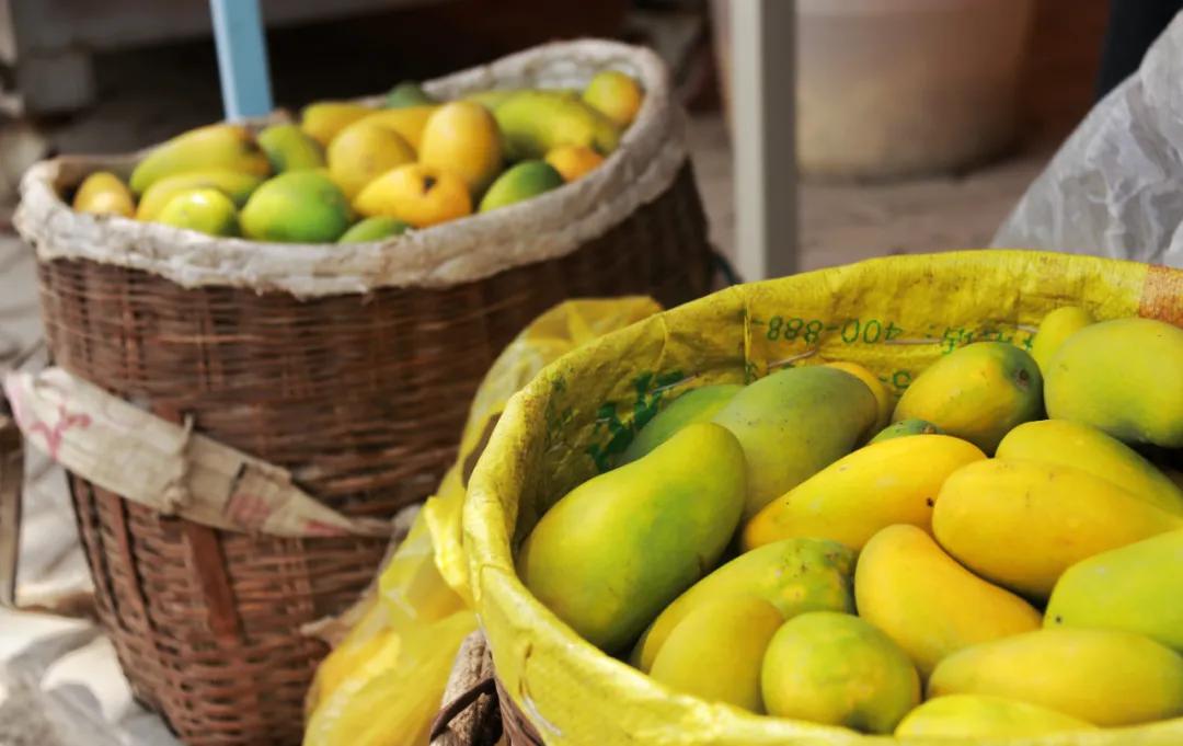 鍛宠暰娼畨,鍛宠暰鏂界敻