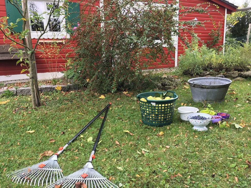 如果气温变冷需要准备什么,温度降到几度花搬到室内