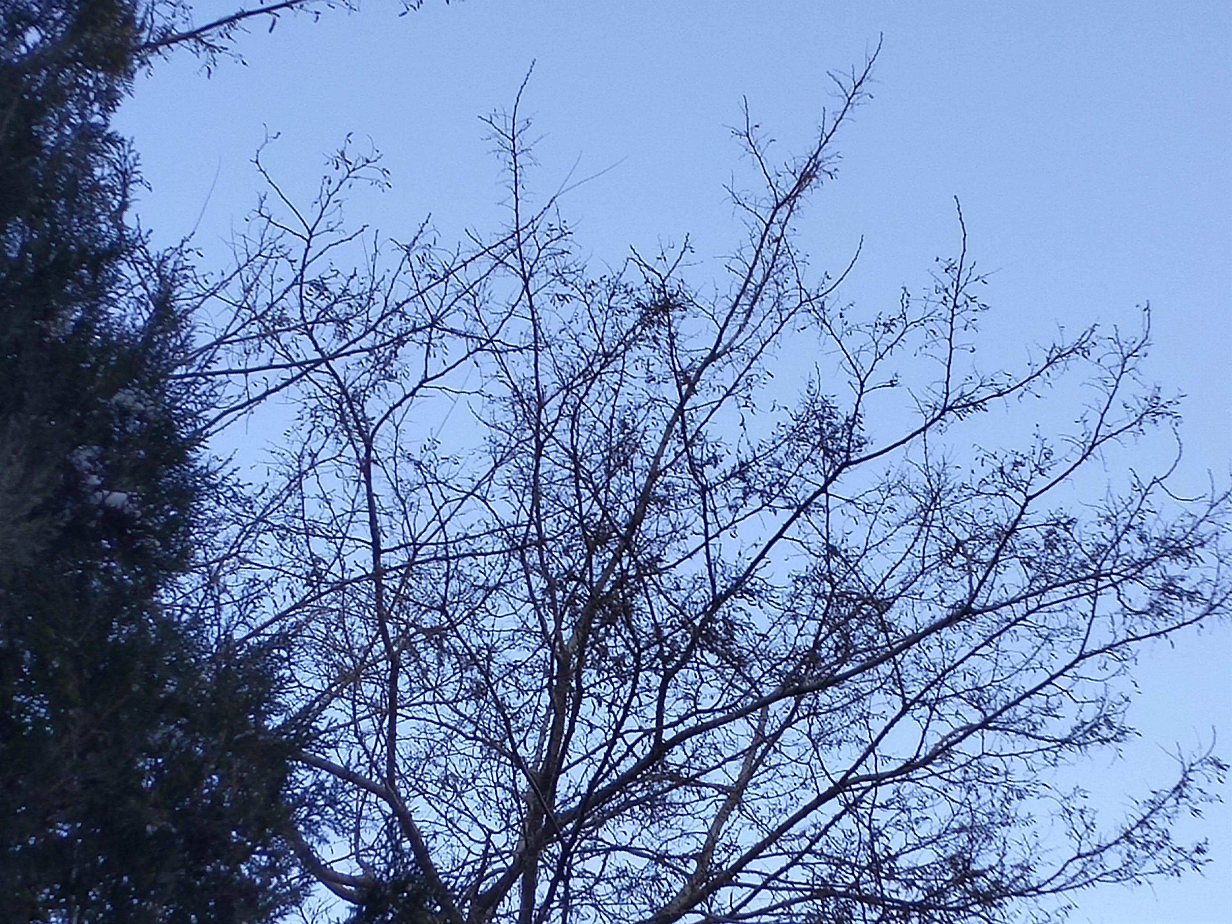 数九寒天顺口溜,俗语中怎样说数九寒天的