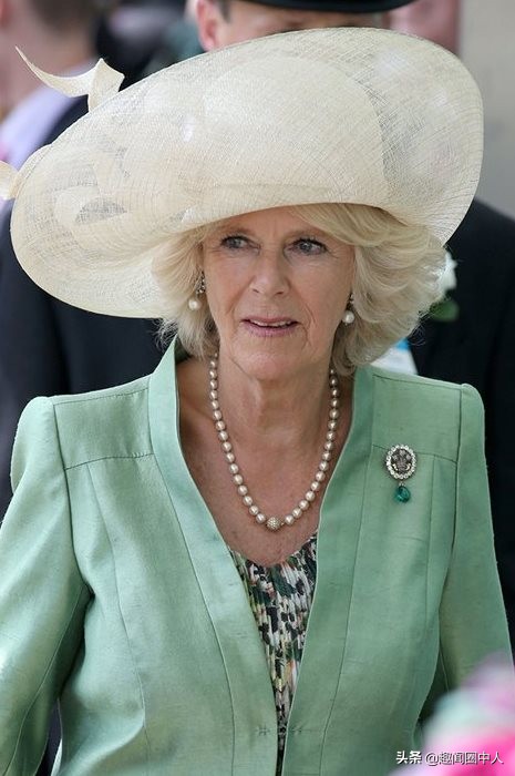 祖母绿国风项链,凯特王妃戴什么颜色的项链