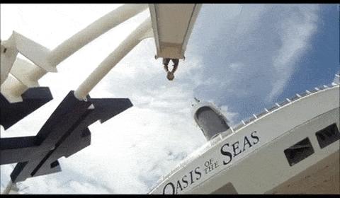 全球最大的邮轮厨房视频,世界最大的邮轮厨师