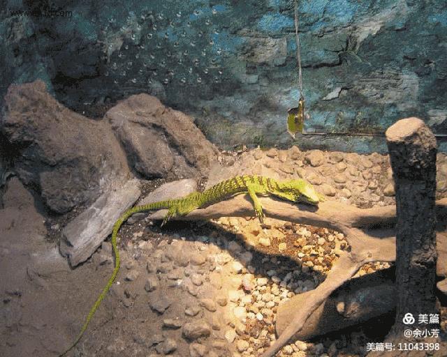 上海昆虫馆,上海昆虫博物馆研学