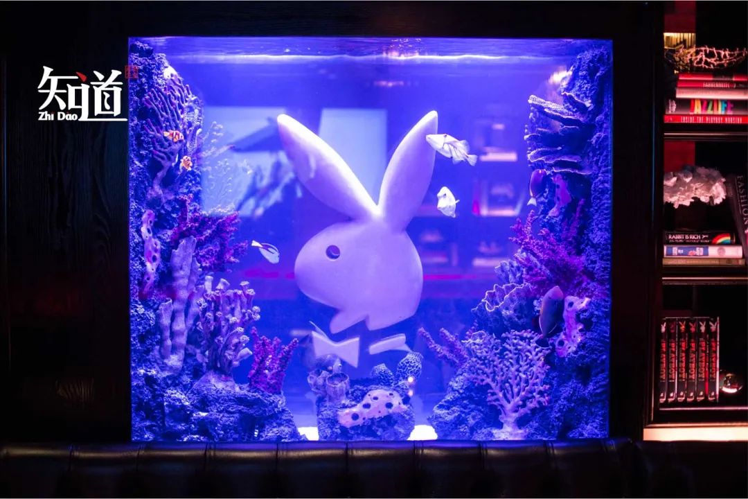 鑺辫姳鍏瓙鏉傚織鎬婚儴瀹e竷鍋滃垔,鑺辫姳鍏瓙鏉傚織