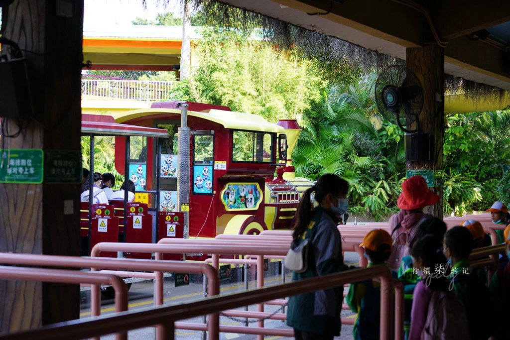 带娃去广州长隆野生动物园攻略,玩广州长隆野生动物园攻略