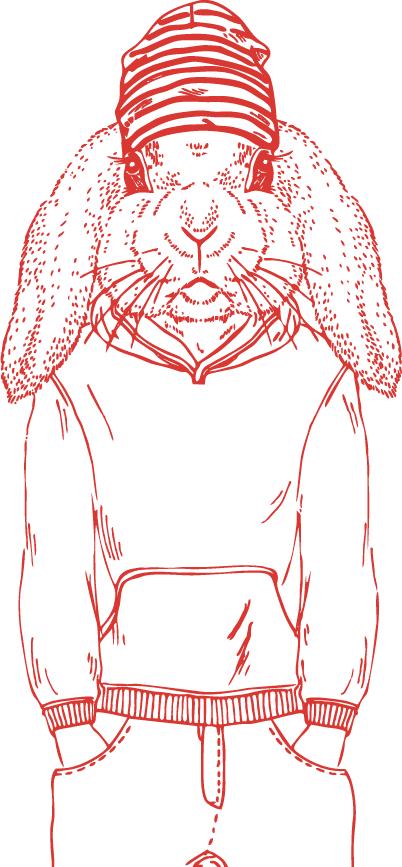 奔奔|一个职场小白的自述