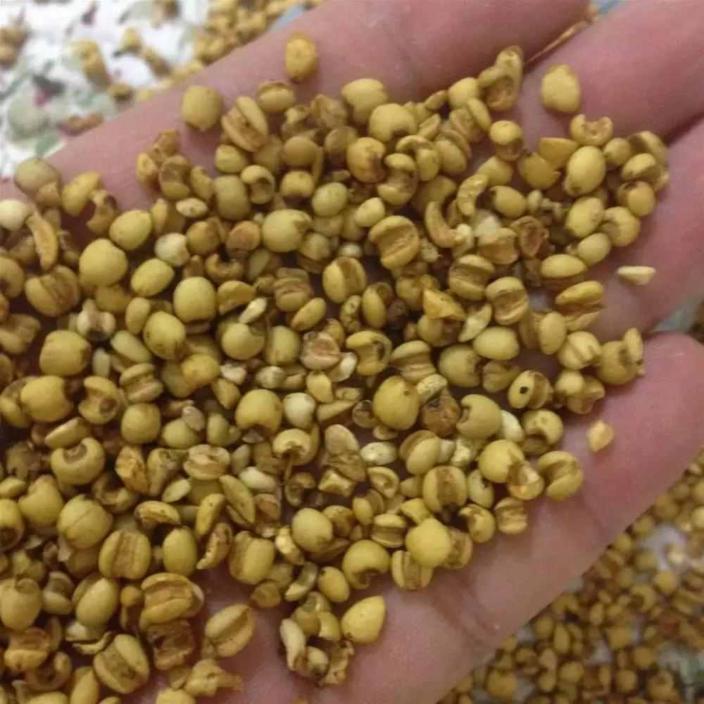 中药学利水渗湿讲解视频,利水渗湿药讲解视频