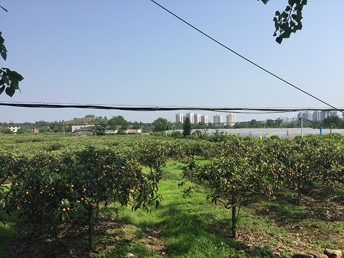 重庆记忆市井,重庆记忆满满