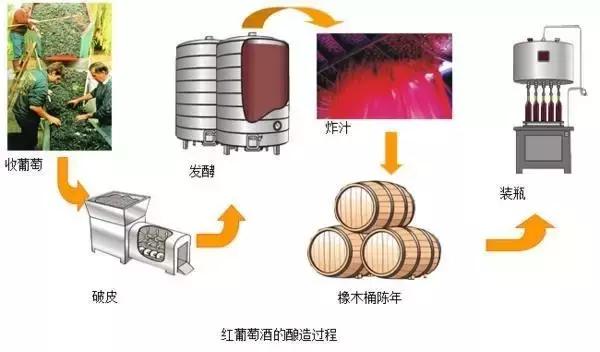 最全的红酒知识,最全红酒知识你知道多少