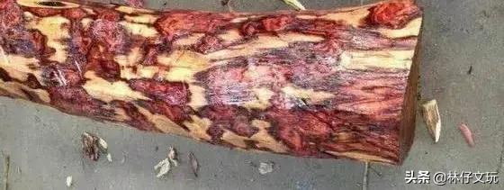 大叶黄花梨的鉴别方法,白酸枝和微凹黄檀哪个好