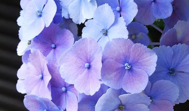 眼球被挖了一个洞还能恢复吗,眼球被挖男孩案