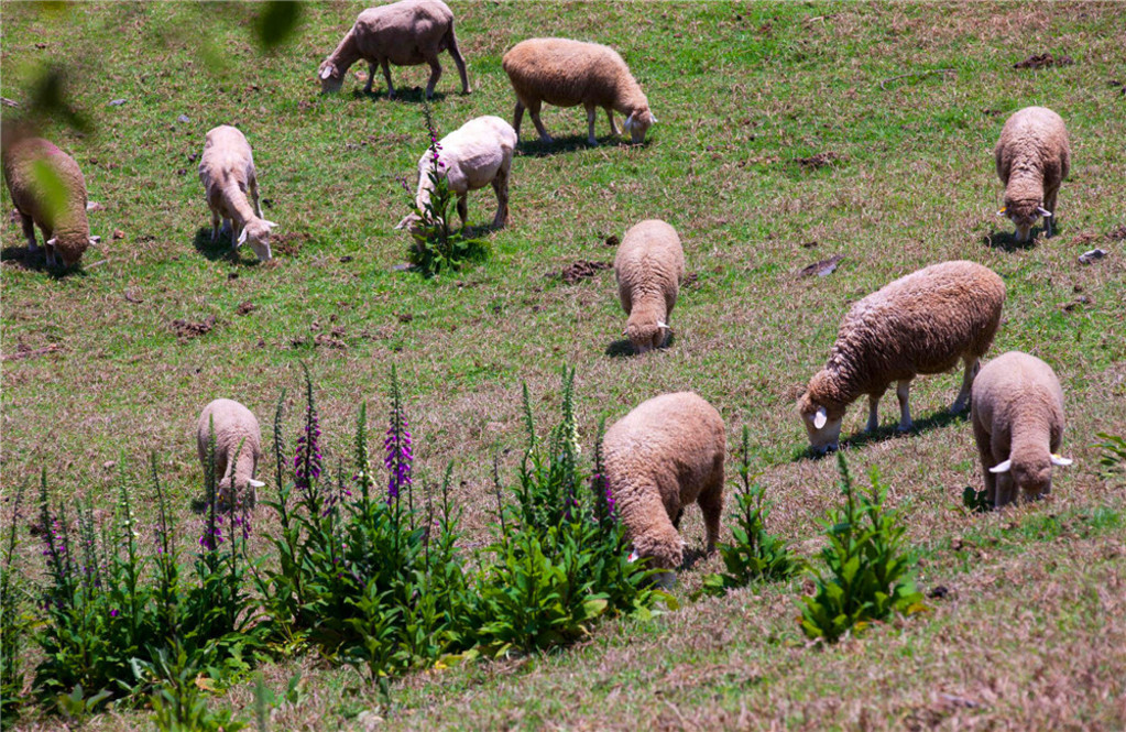台湾环岛7日自驾游攻略,台湾环岛游记大全