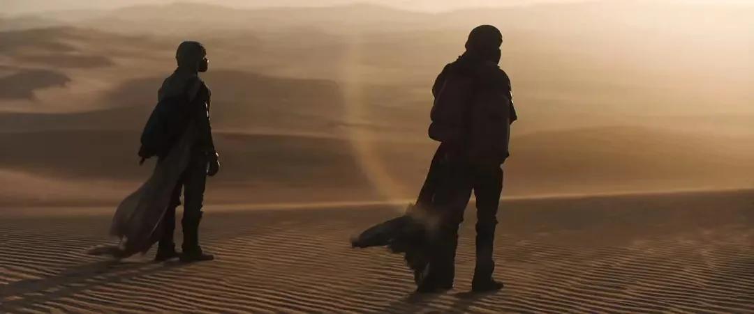 淘特如何赚钱,淘特能赚到钱吗