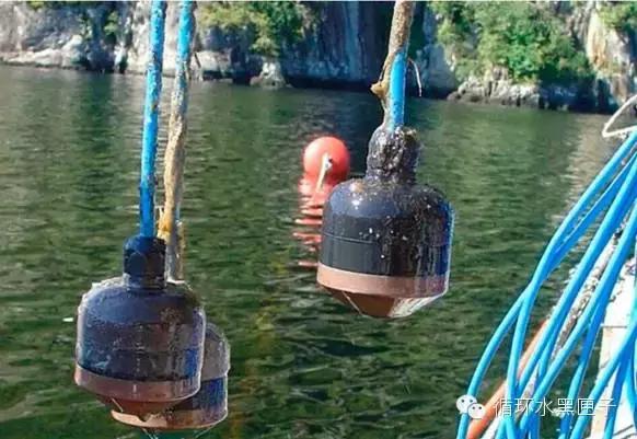 水质参数的测定,水质检测标准参数