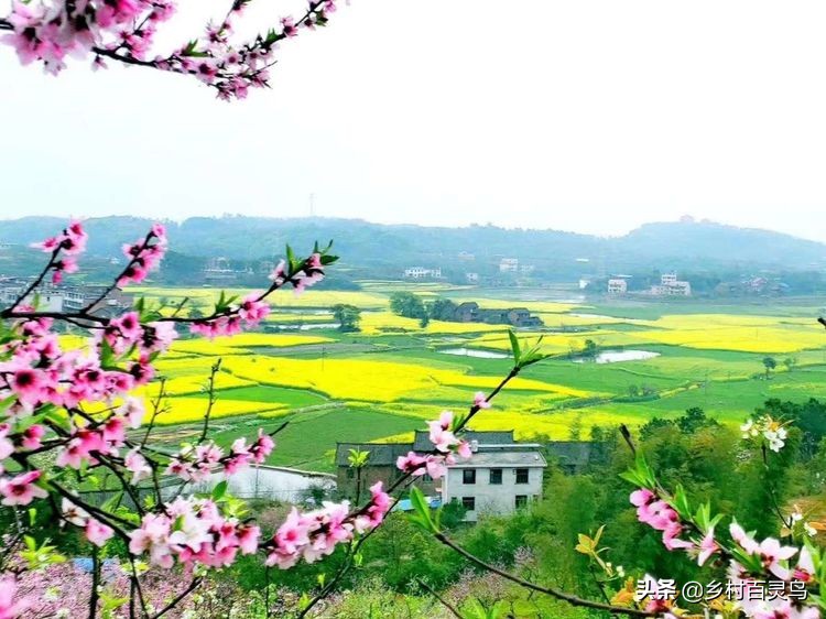 漫步在故乡的夕阳下,骑行漫步在乡间的小路上