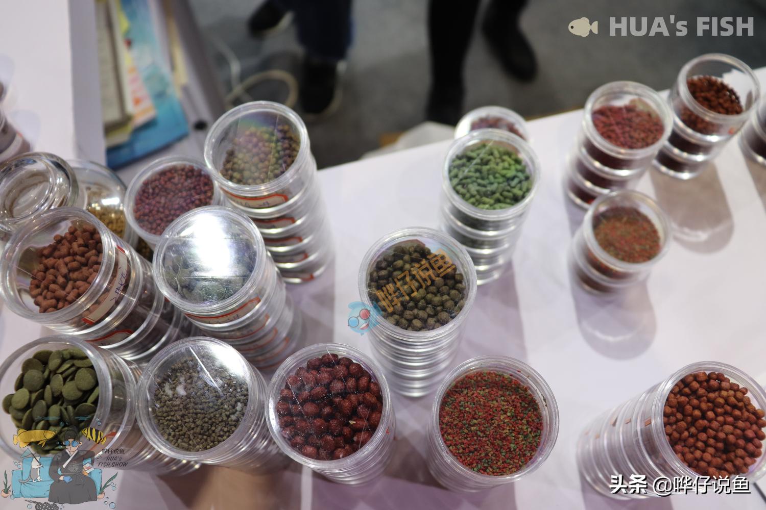 鹦鹉鱼水发黄是怎么回事,养鹦鹉鱼鱼缸水浑浊怎么变清