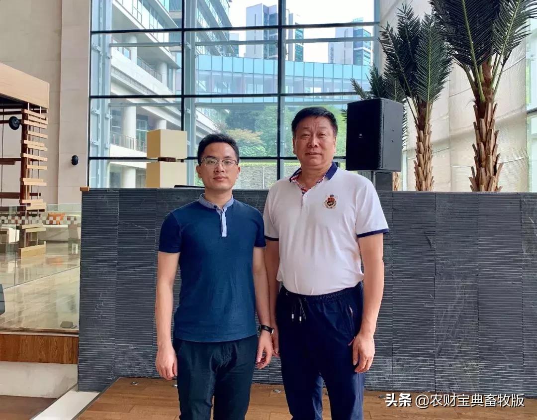 缺猪原因,抓好猪保供政策