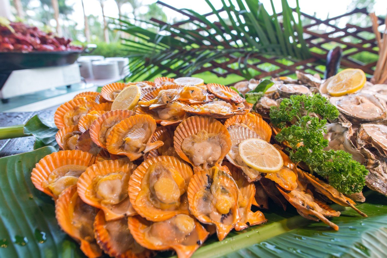 惠州沙滩度假,无边海景泳池