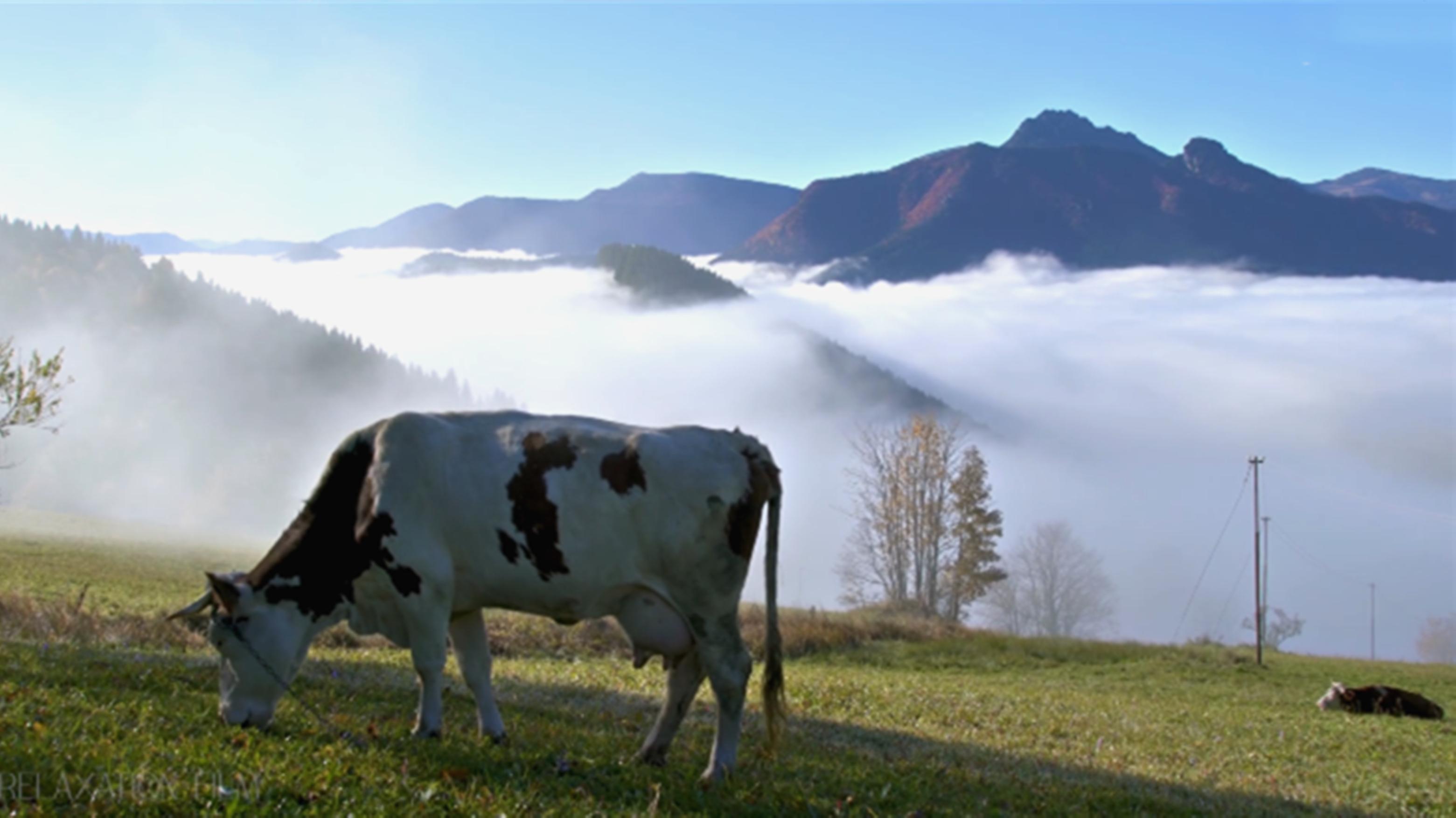 在家装一个3d的电影院,在家装个电视