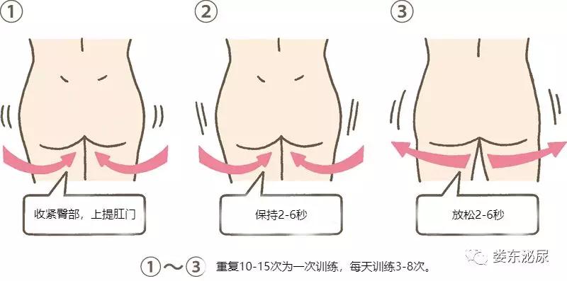 盆底肌保健意义,盆底肌修复可以治疗尿失禁吗