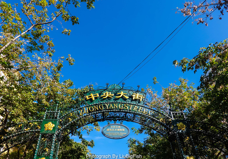 哈尔滨11月吃喝玩乐攻略,今夏哈尔滨旅游全攻略