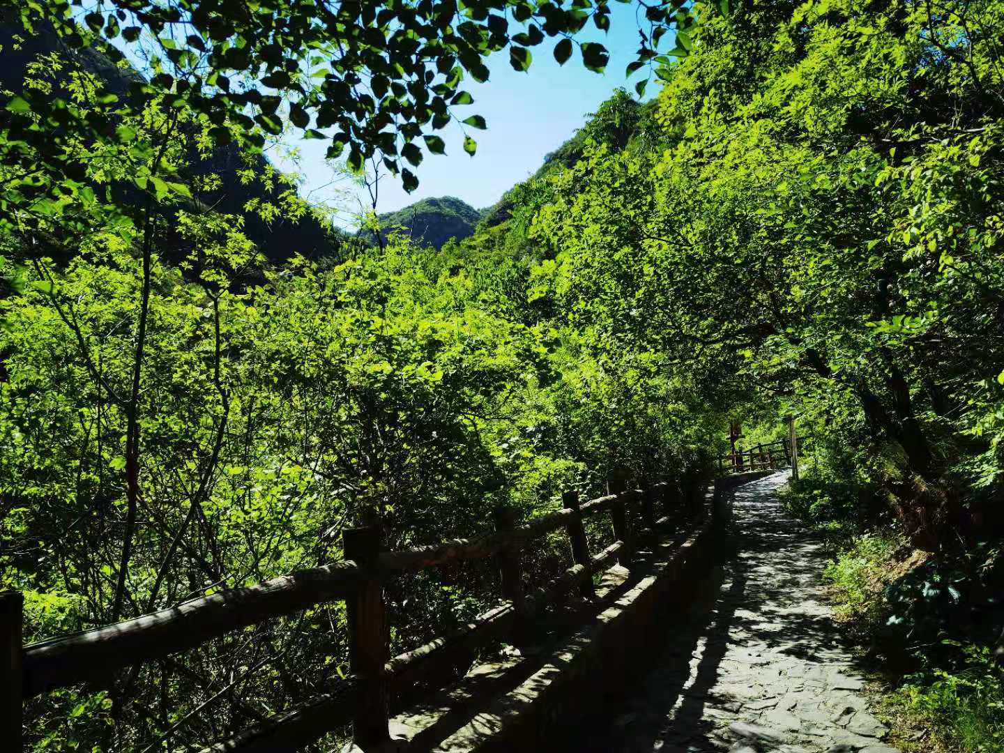 打卡北京双龙峡风景区,十里溪流百潭瀑布,北方小九寨名不虚传