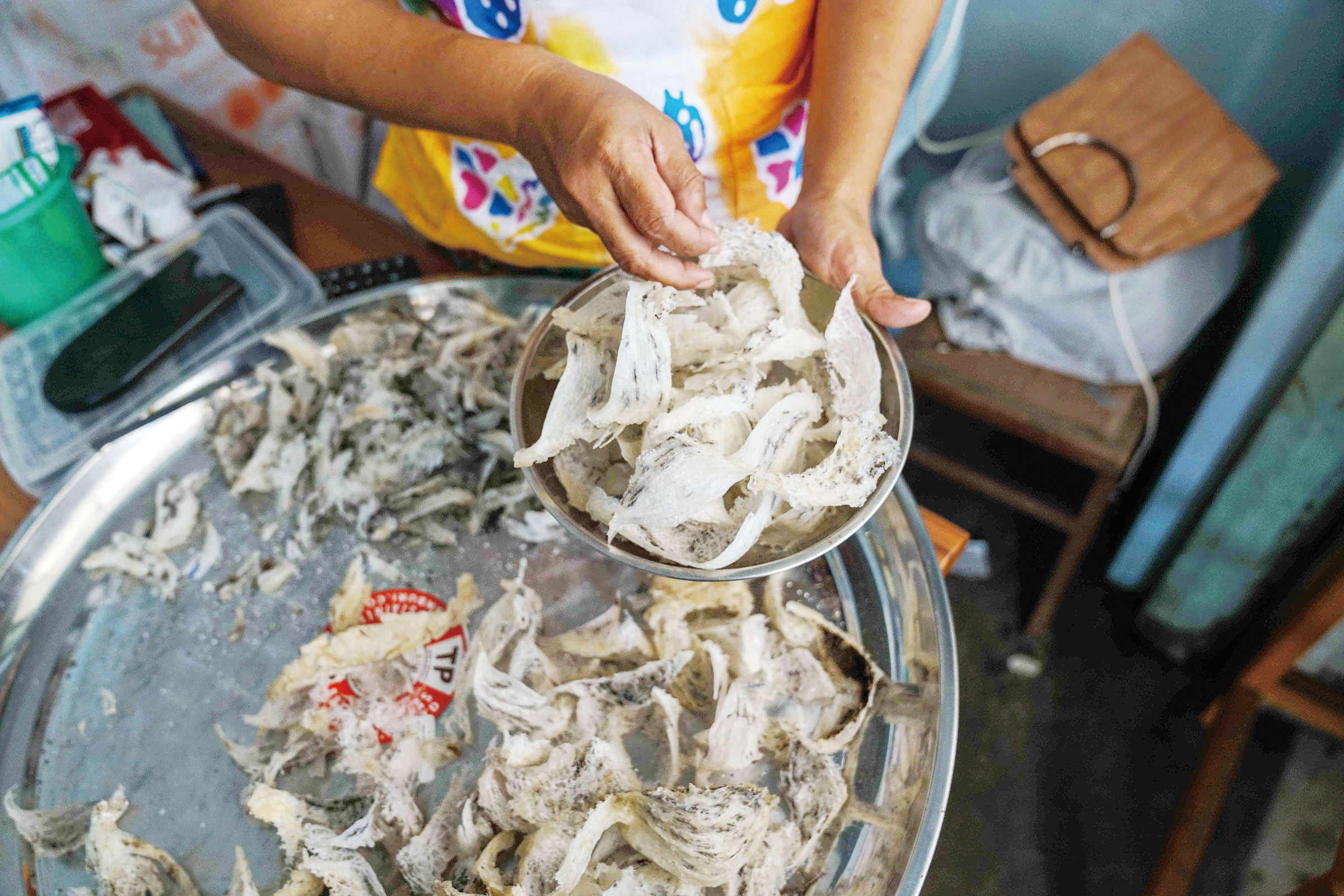 都是燕窝惹的祸？爪哇金丝燕：飞得快不如被团灭快