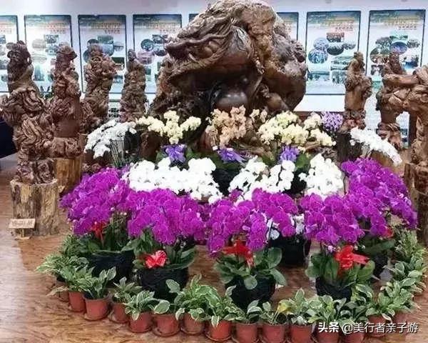 龙脉温泉特惠票,龙脉熔岩温泉度假村门票多少钱