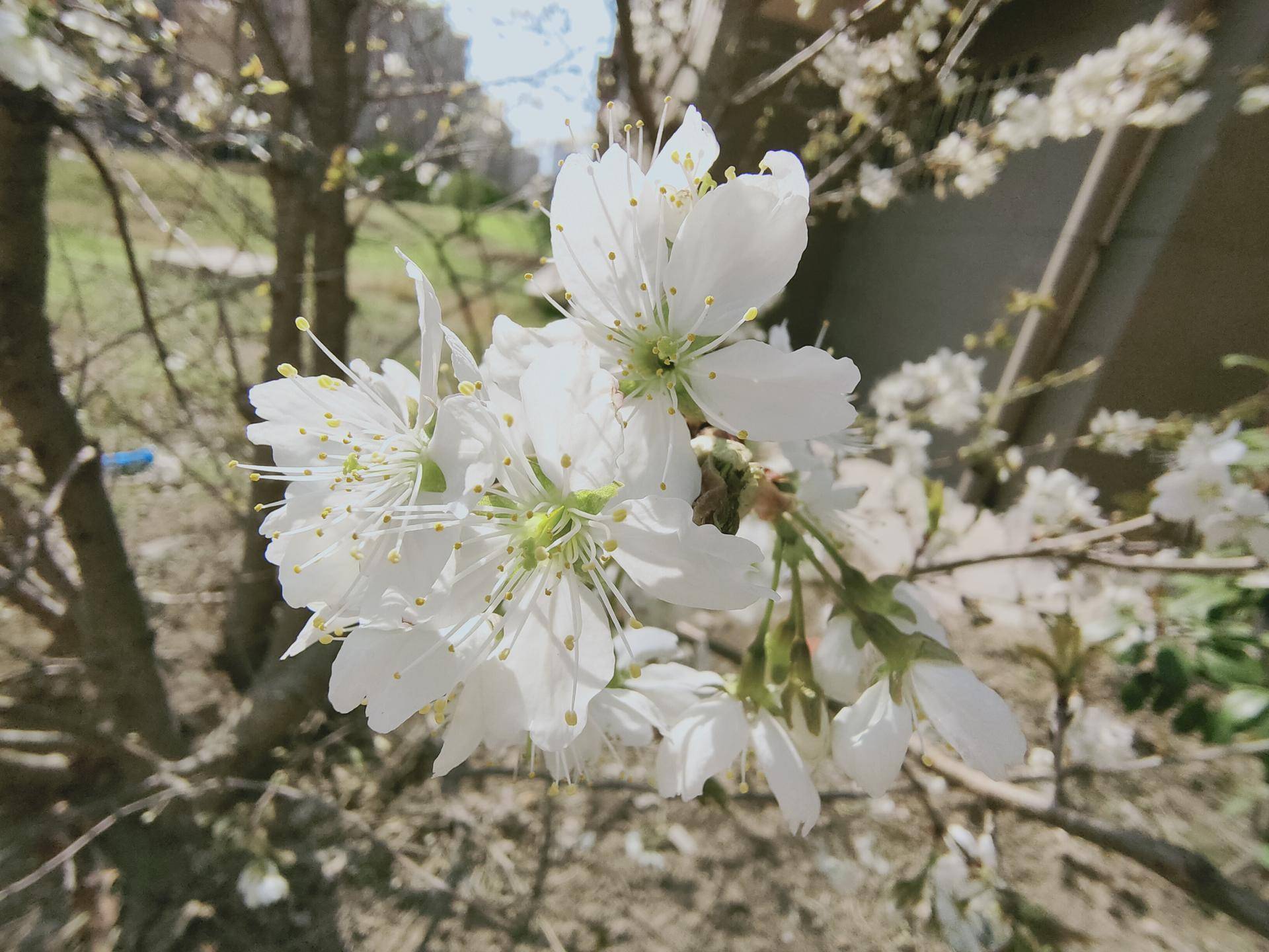 不止轻薄，Reno3Pro也可以拥有不俗的功能体验