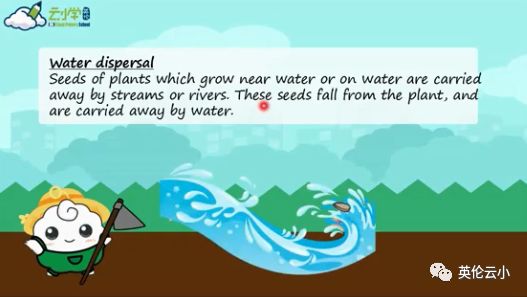 植物是怎么传播种子的二年级上册,植物传播种子方法有哪些举例说明