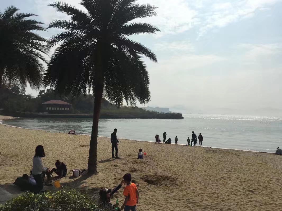 适合一个人去走走的厦门,人生最好的旅途就是经历的人和事