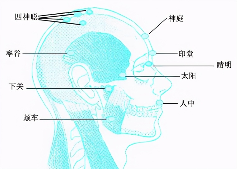 按摩眉毛的穴位有什么功效,中医养生按摩穴位视频