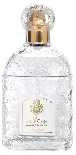 雪松味道有点呛鼻子,雪松味道好不好闻