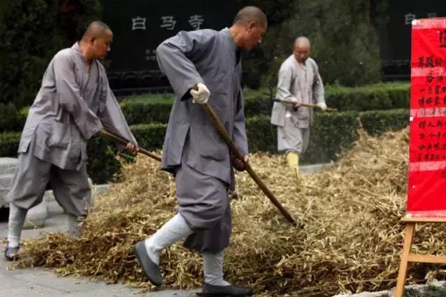 农禅并重的意义,农禅并重的寺院