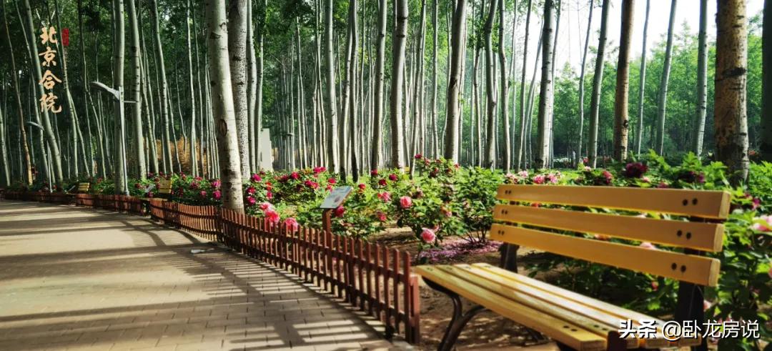 北京合院式楼盘,北京城建北京合院楼盘详解