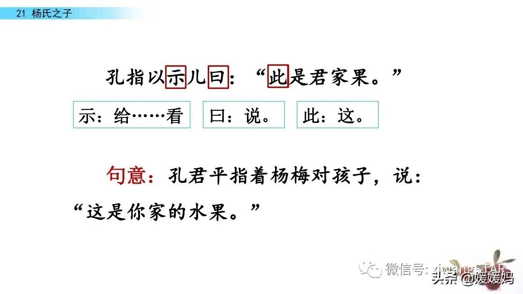 部编版五年级语文21杨氏之子教案,五年级下册语文21课杨氏之子笔记
