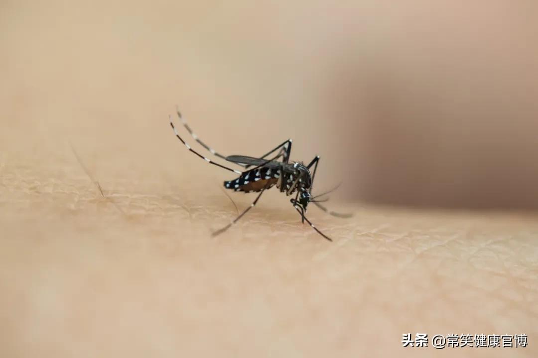 消毒水能驱走臭屁虫吗,口水可以杀菌消毒吗