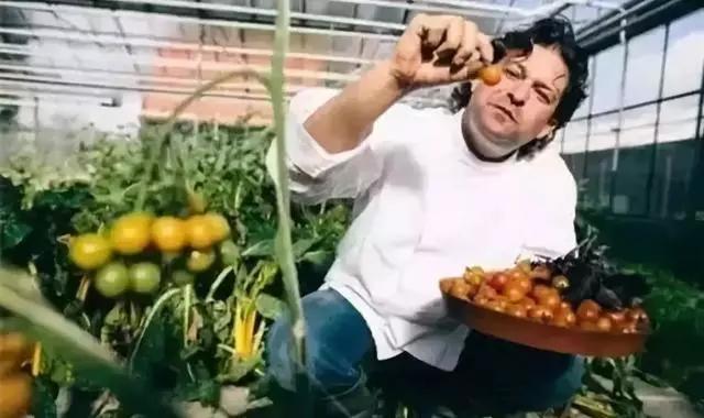 田园农场农庄,空绿田园农场餐厅