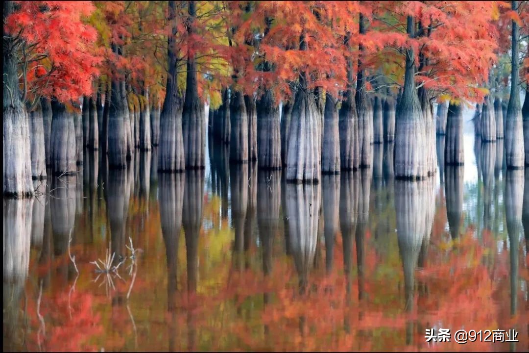 南京本地人冷知识,南京哪个区域是核心区