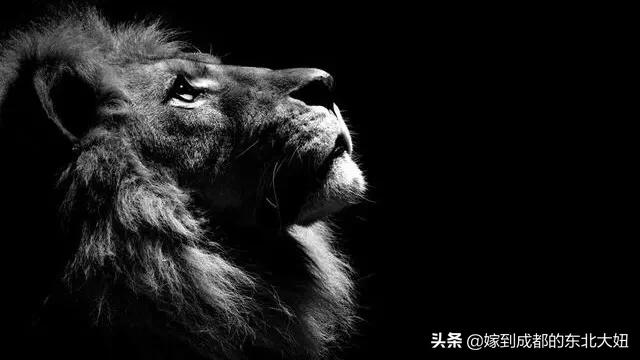 怎么做翻译赚钱,副业翻译兼职赚钱吗