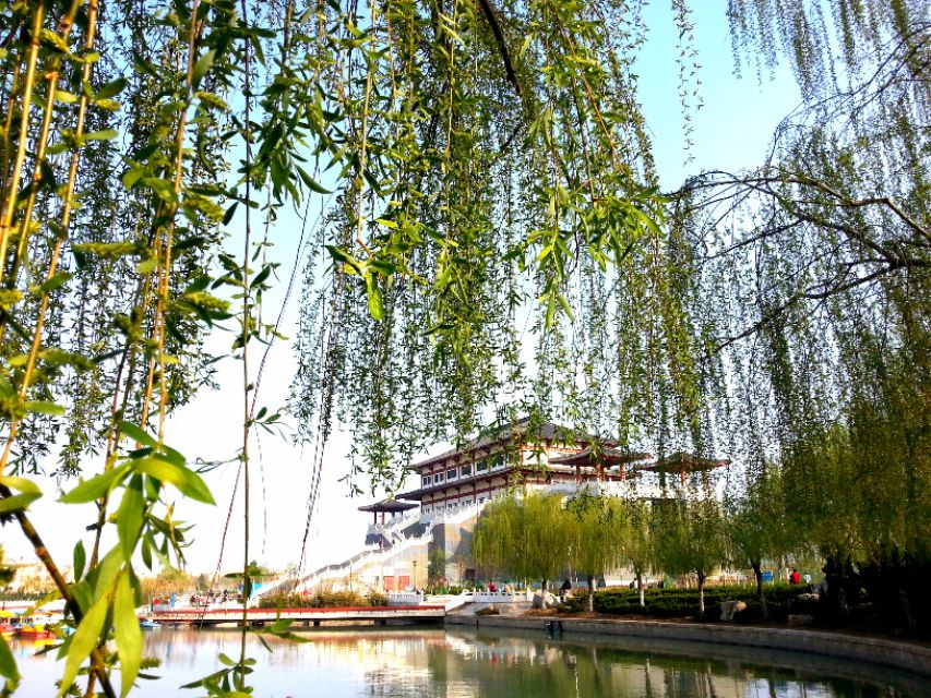 七绝诗新韵原创,五绝中华新韵的诗