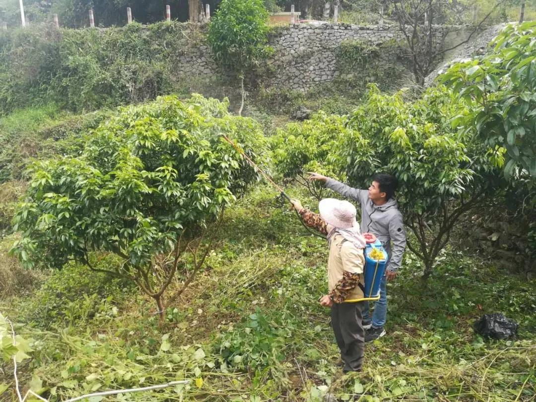 中农富玉大事记,中农富玉未来发展趋势