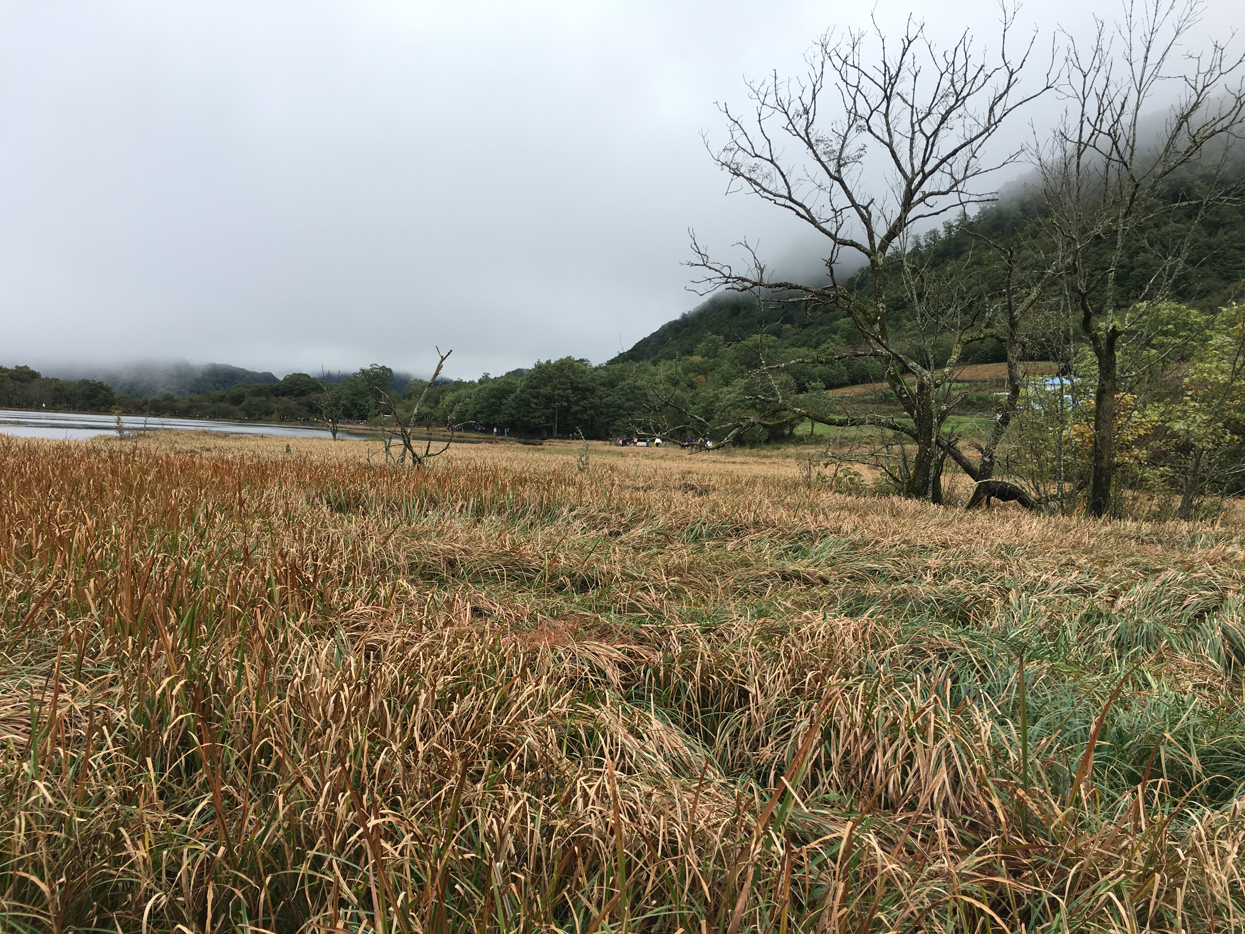 雨中神农架探秘之旅｜国庆节武汉至神农架自驾游攻略分享