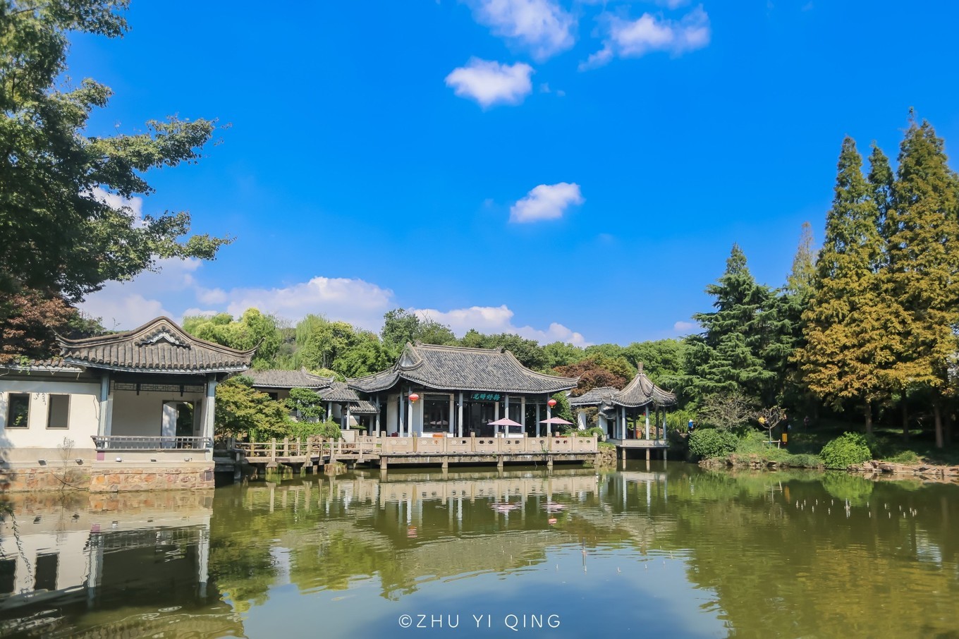 无锡梅园不只能赏梅,初秋近万亩百合花海盛放,小姐姐直呼太美了