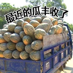 美好的一天从搬砖开始表情包,美好的一天开始了表情包